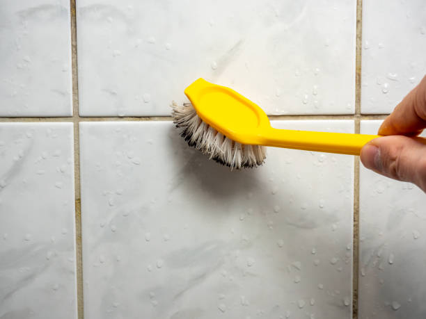 Best Bathroom Mold Remediation in Niles, OH
