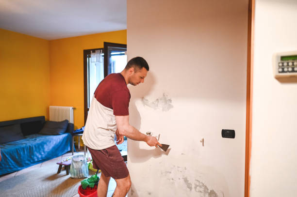 Best Residential Mold Remediation in Niles, OH